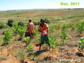 Our master gardener Bary in Dec 2011
