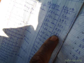 close-up trees planted