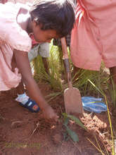 Girl Planting a tree for International Women's Day