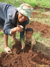 Planting a tree with his mother