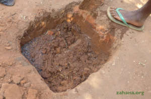 manure and earth mix for the seedling