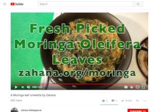 Zahana's Moringa Omelette Video