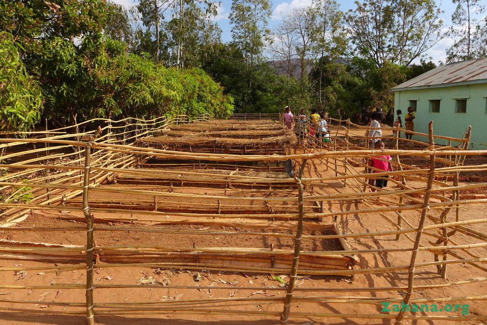 The new tree nursery in Fairenana