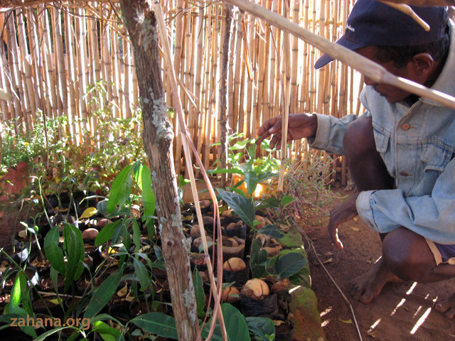 Zahana's first gardener for Fiarenana