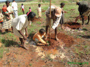 Family participation in a community wide tree plan