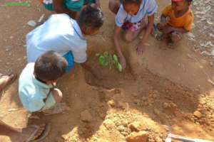 School chidren planting a tree in mango forest