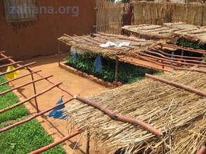 The nursery: Seedling growing protected