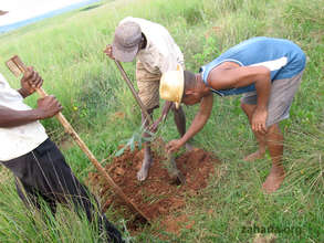 Villagers planting a tree