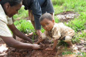 Planting 15000 trees in Madagascar