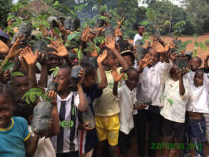 Reforestation by stundents as part of celebration