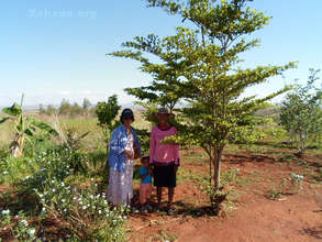 Enjoying the shade of the tree