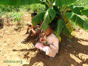 Bananas (not a tree) can give shade too