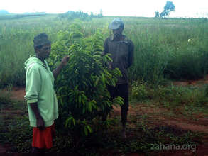 The tree planter showing their efforts