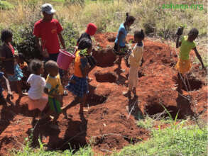 Everybody participates in tree planting