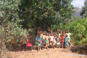 Shady schoolyard is always good on sunny days...