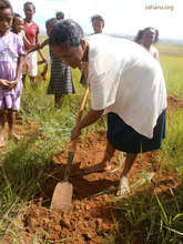 Woman planting a tree