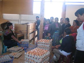 Women Educational Exchange