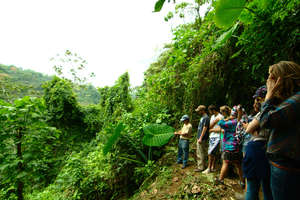 Ecotourism Management