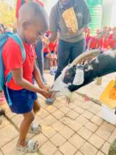 Bayanda Feeding a Goat