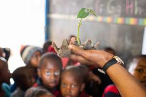 Understanding how plants grow