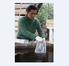 Water Testing - Honduras