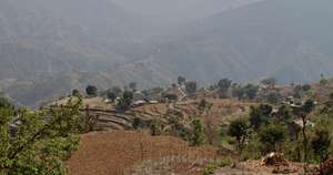 Farm