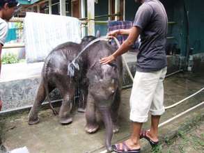 Bath time for young inmates at CWRC