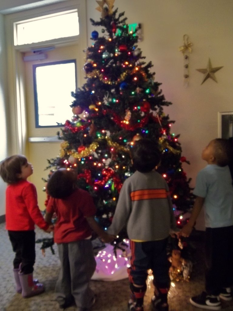 Holiday Wishes