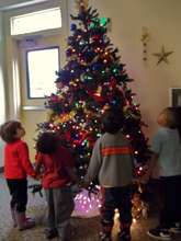 Holiday Wishes