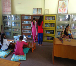 One of the Mini Libraries