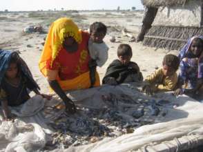 Fish soaked in sunshine for use in future