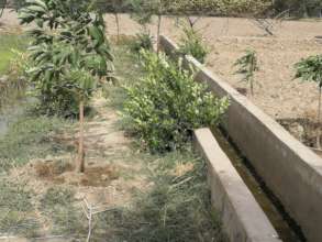 water courses maintained