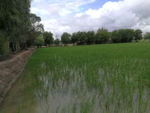 Farmers helping each other