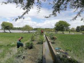 Farmers helping each other