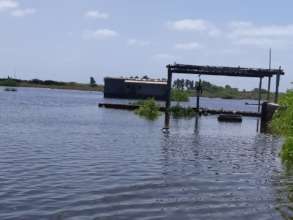 Crops destroy in rain water