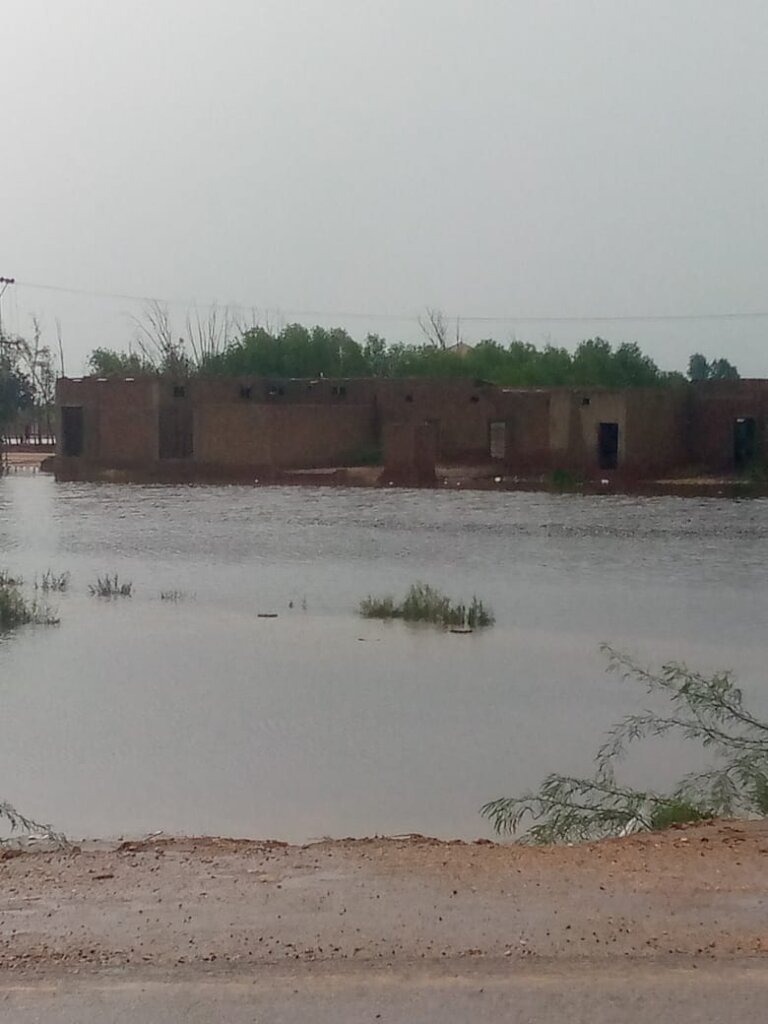 Rain water hit crops