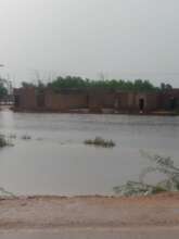 Rain water hit crops