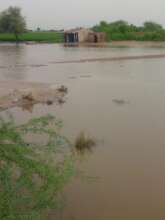 Flood water in crops