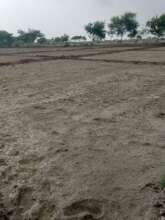 Rice seed plantation