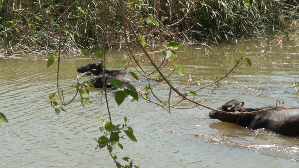 Smart Agriculture & Water Conservation 500 Farmers