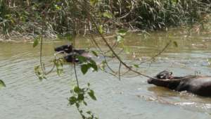 Irrigation water conservation pond