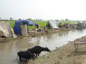 IDPs living on open air and road sides
