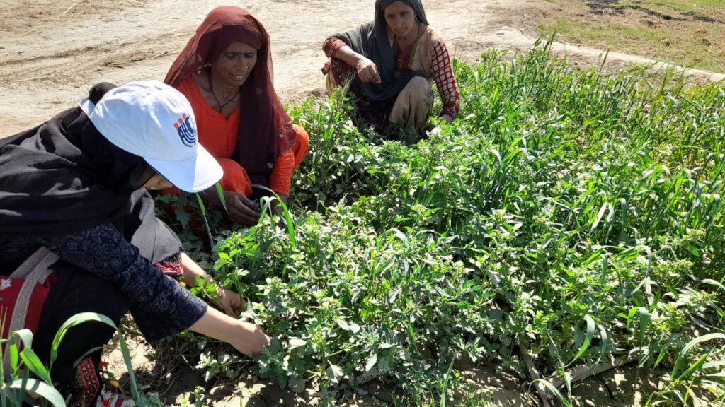 Smart Agriculture & Water Conservation 500 Farmers