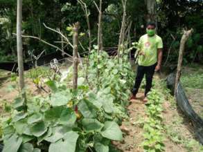Enhancing nutrition and resilience