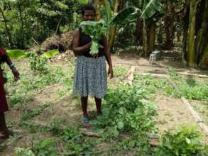 Community gardens in Orotina, Honduras