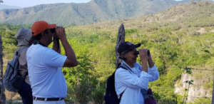 Bird count in the Dry Forest