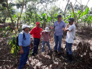 Learning exchange about agroforestry