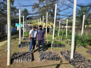 Tree nursery in El Porvenir