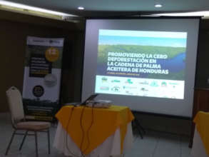 Zero Deforestation event