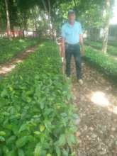 This is me at the tree nursery